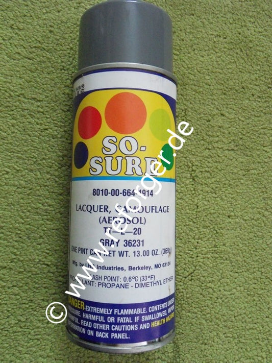 Spray Paint FS 36231